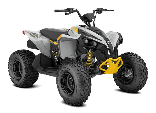 Can-Am Renegade 110 EFI 2026