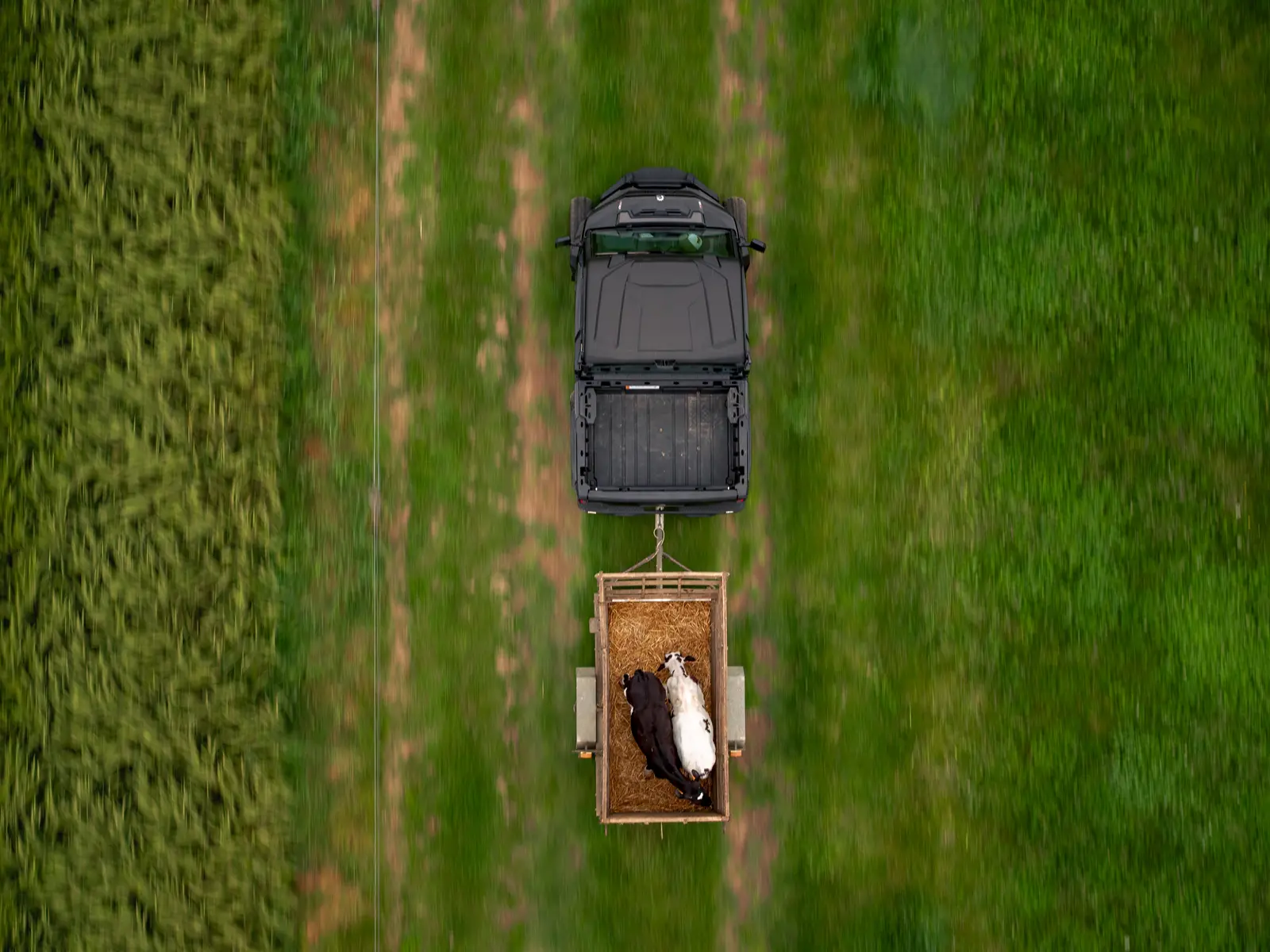 Can-Am Traxter HD10/HD11 i terrängen