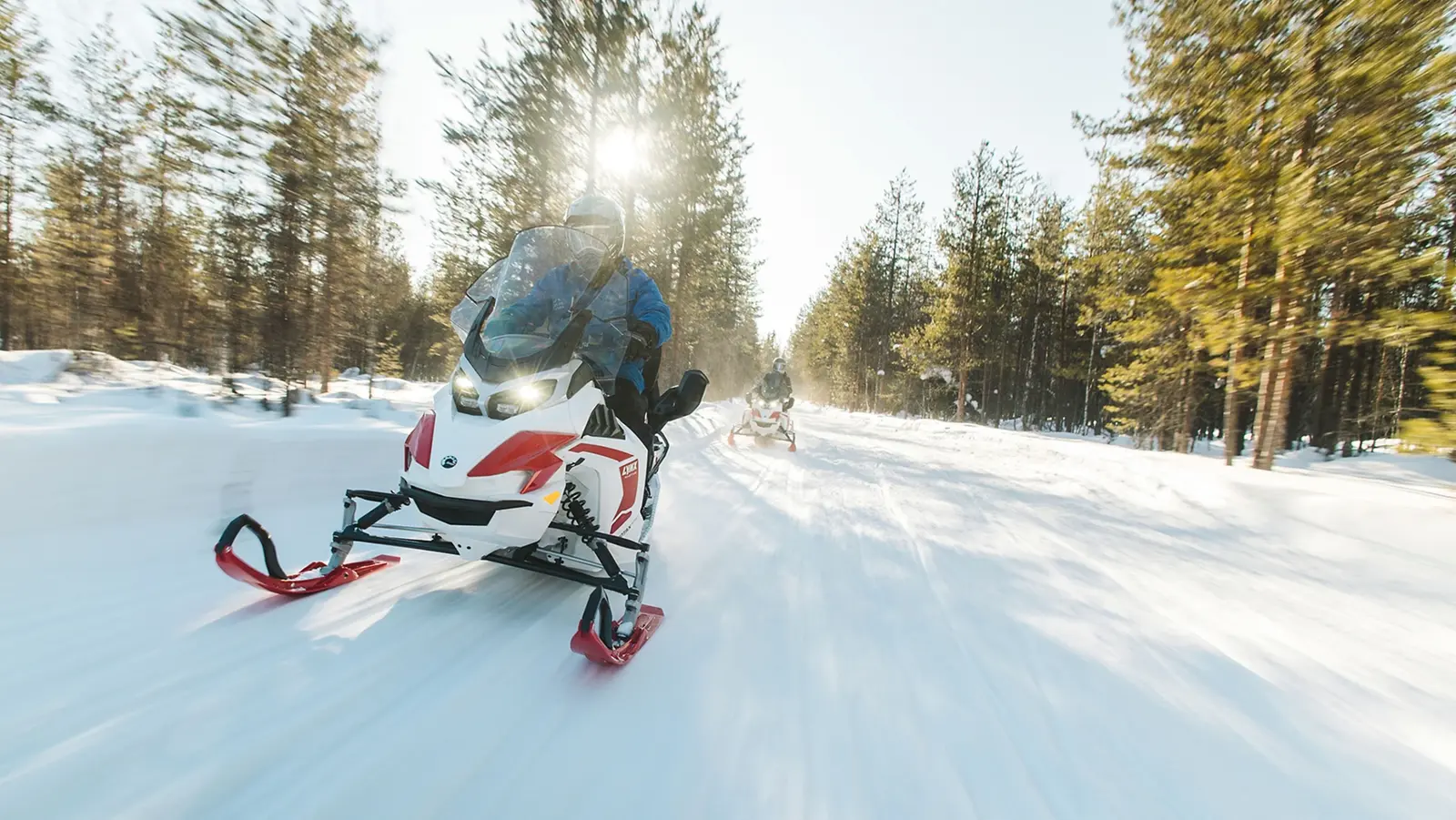 Lynx Adventure Electric i terrängen