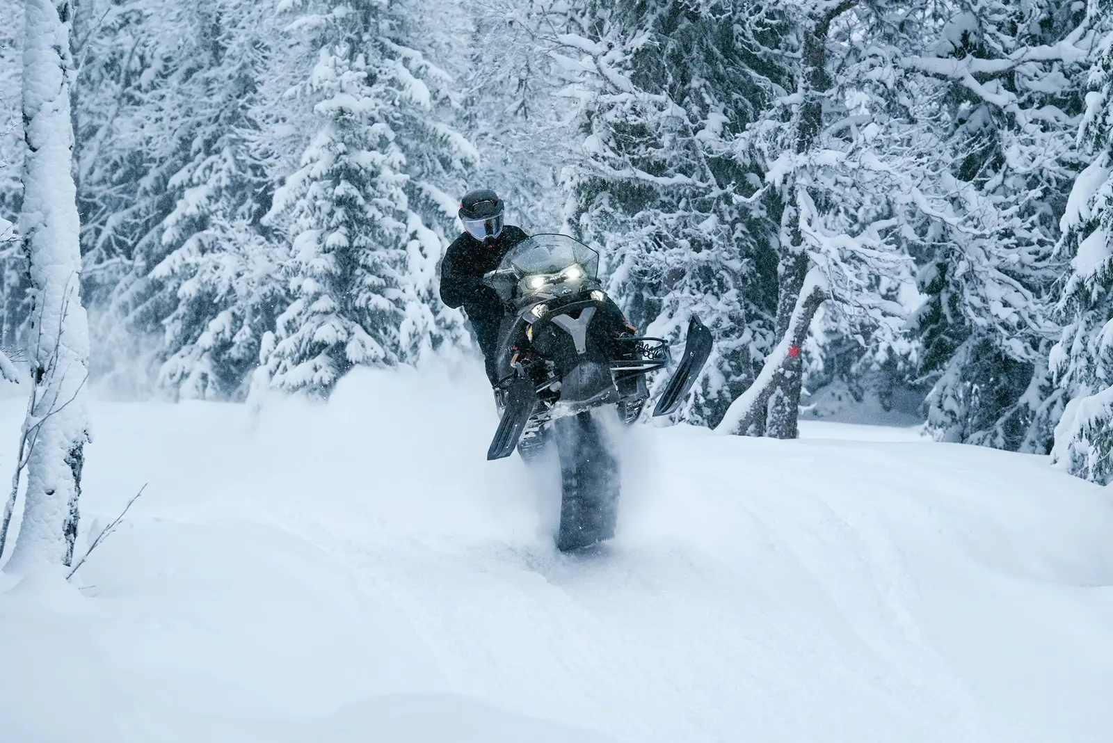 Lynx Xterrain i terrängen