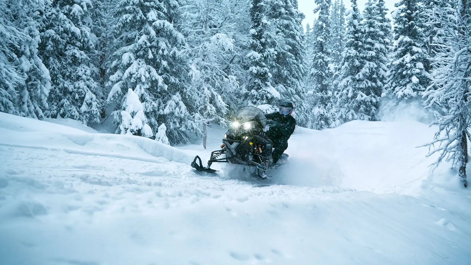 Lynx Xterrain i terrängen